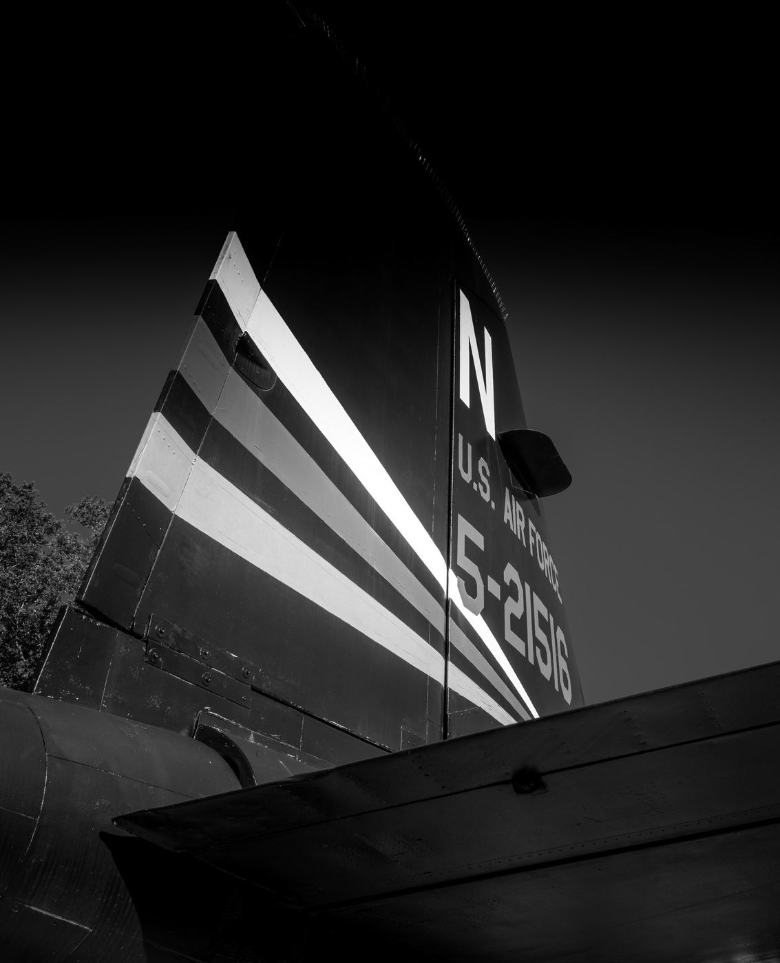 Tail, from the series Designed Objects